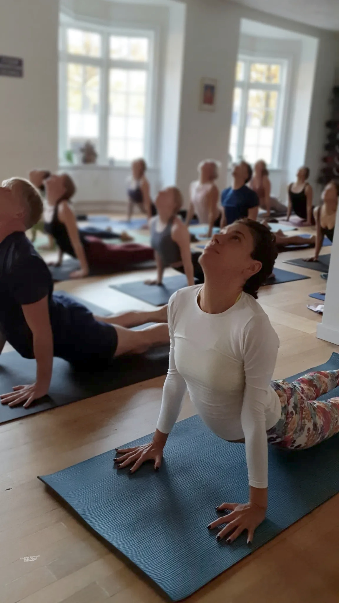 Yoga practice in the studio